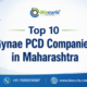Top 10 Gynae PCD Companies in Maharashtra